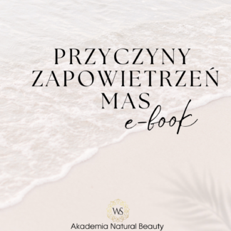 E-book Przyczyny zapowietrzeń mas żelowych i hybrydowych