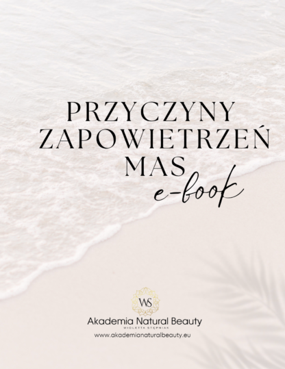 E-book Przyczyny zapowietrzeń mas żelowych i hybrydowych